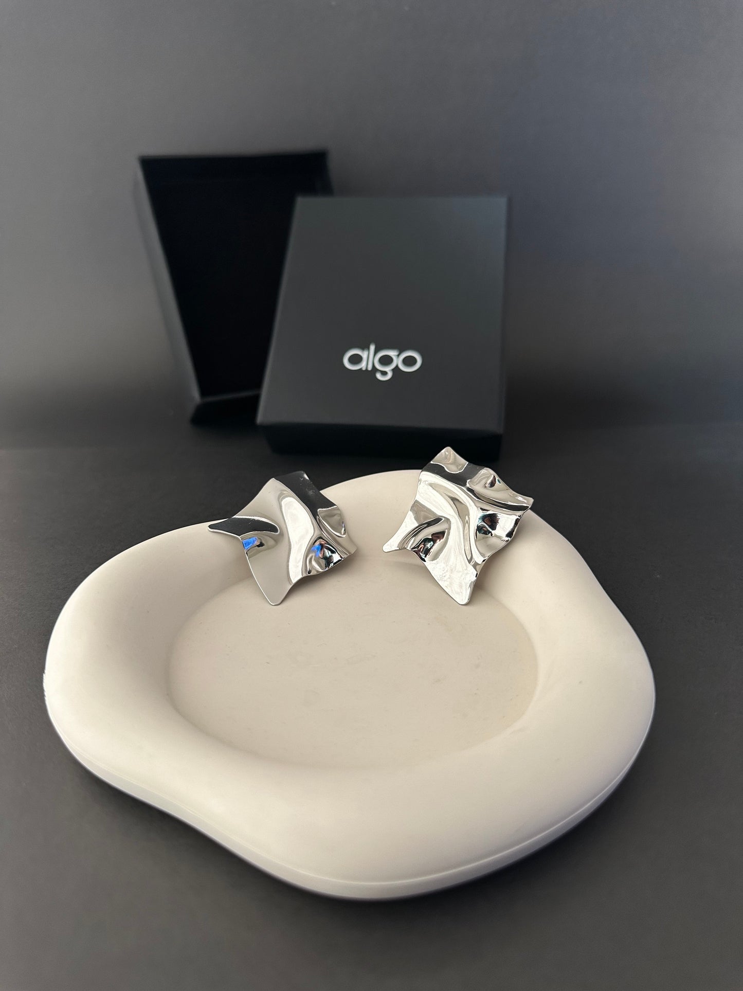 Modern Sculpted Earrings (Silver)